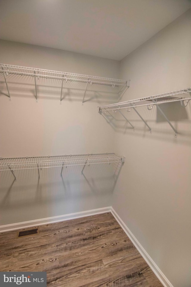 spacious closet featuring wood-type flooring