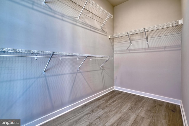 walk in closet featuring wood-type flooring