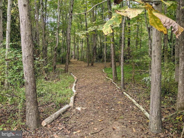 view of local wilderness