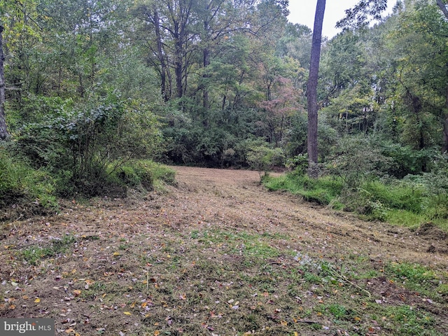 view of local wilderness