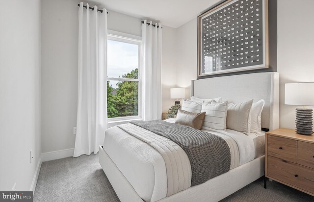 bedroom featuring carpet floors