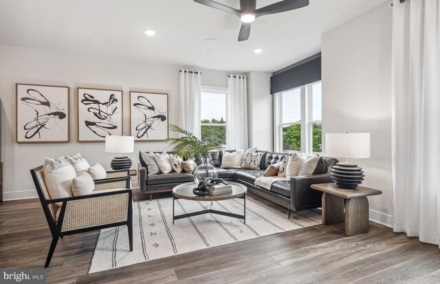 living room with ceiling fan and hardwood / wood-style floors