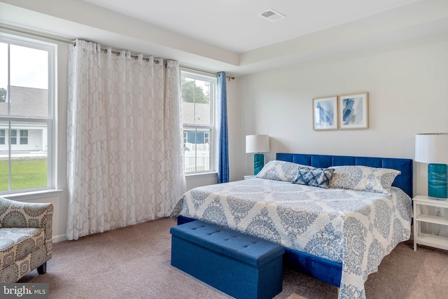 carpeted bedroom with multiple windows