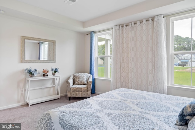 bedroom with carpet floors