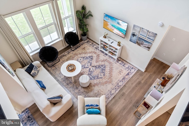 living room featuring hardwood / wood-style flooring