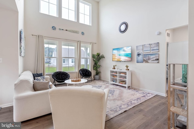 living room featuring hardwood / wood-style floors and a towering ceiling