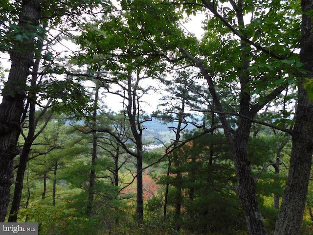 view of landscape