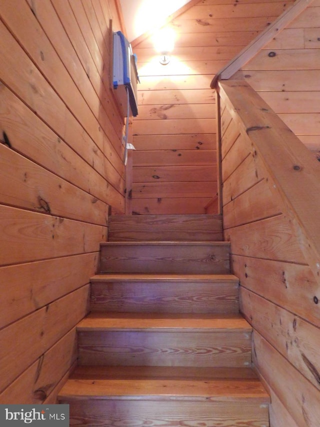 staircase featuring wooden walls