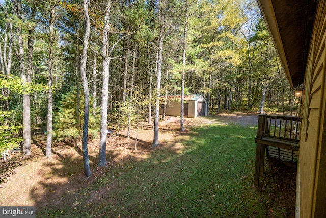 view of yard with a storage unit