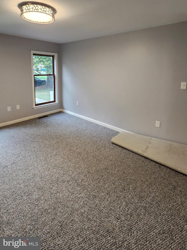 spare room with carpet