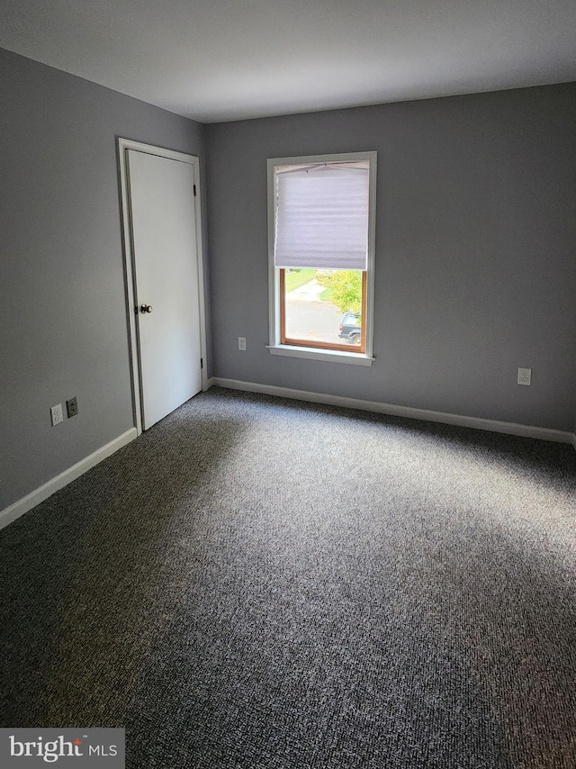 spare room with carpet