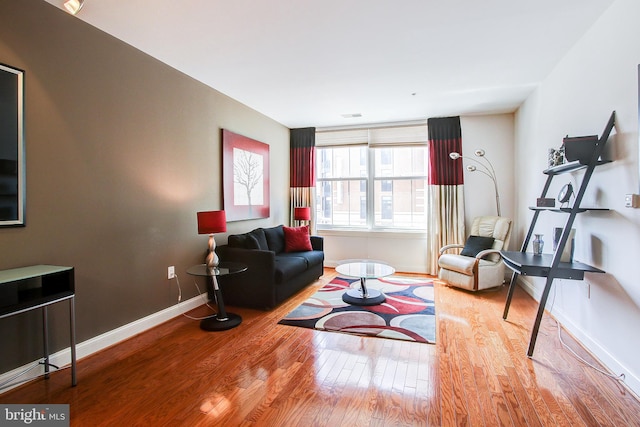 living room featuring wood-type flooring