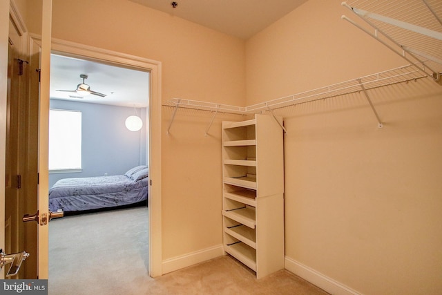 walk in closet with carpet floors