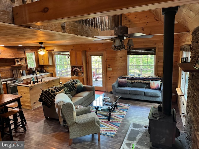 living room featuring ceiling fan, dark hardwood / wood-style flooring, a wood stove, and a healthy amount of sunlight