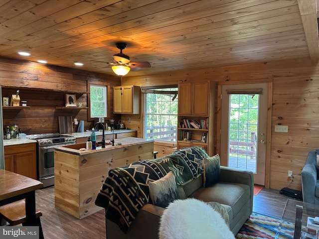 kitchen with wooden walls, ceiling fan, stainless steel stove, and a wealth of natural light