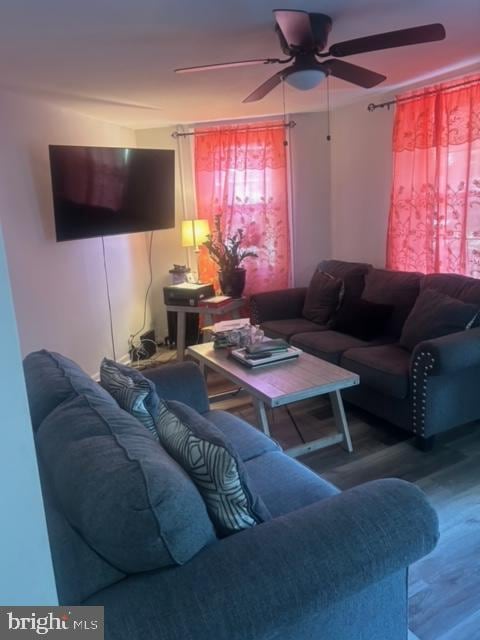 living room with ceiling fan and hardwood / wood-style floors