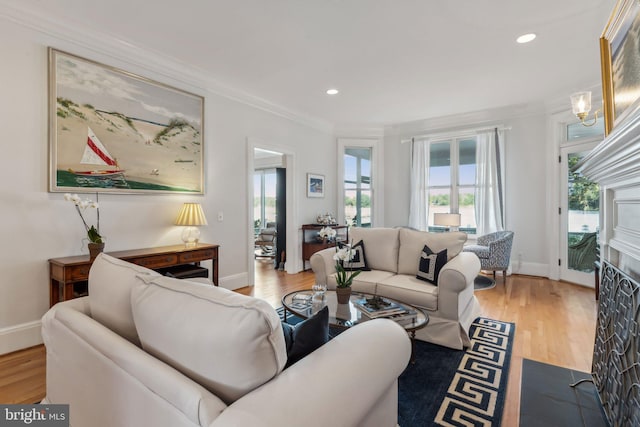 living room with wood-type flooring and ornamental molding