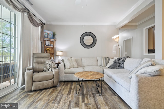 living room with ornamental molding and dark hardwood / wood-style flooring