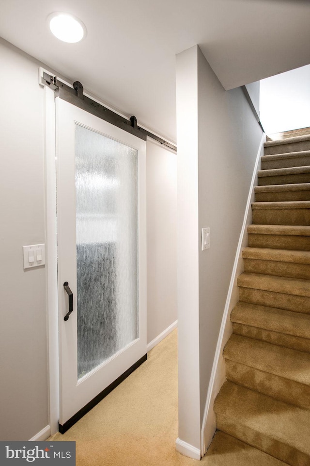 staircase with carpet flooring and a barn door