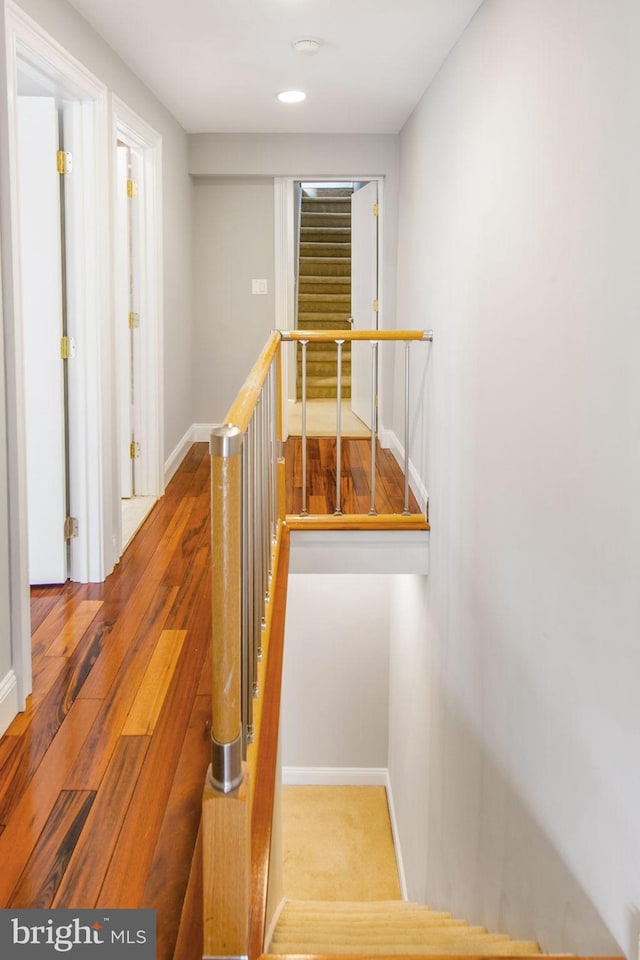 staircase featuring wood-type flooring