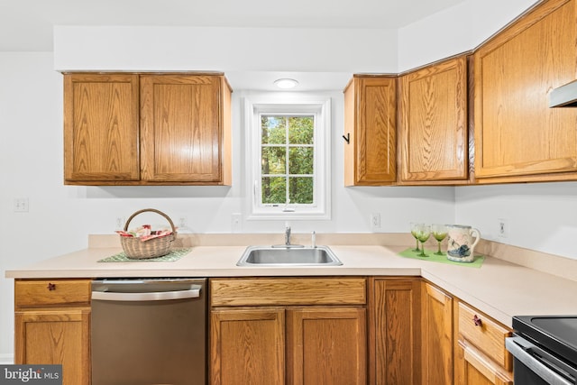 kitchen with stove, sink, and stainless steel dishwasher