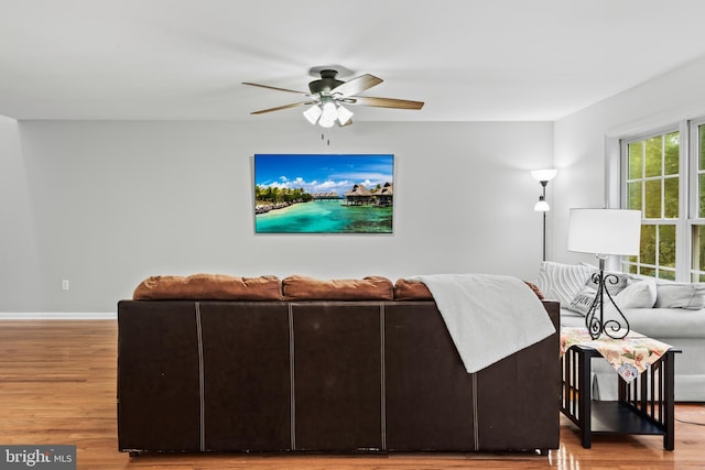 living room with ceiling fan and hardwood / wood-style floors