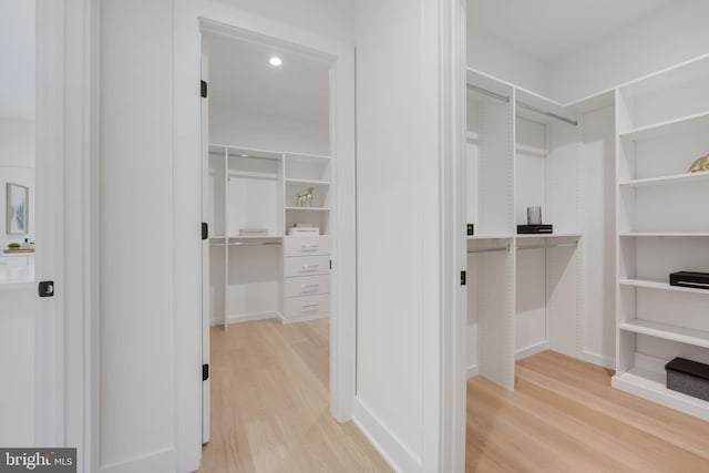 spacious closet featuring light hardwood / wood-style flooring