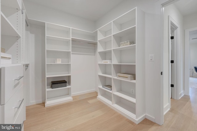 spacious closet with light wood-type flooring