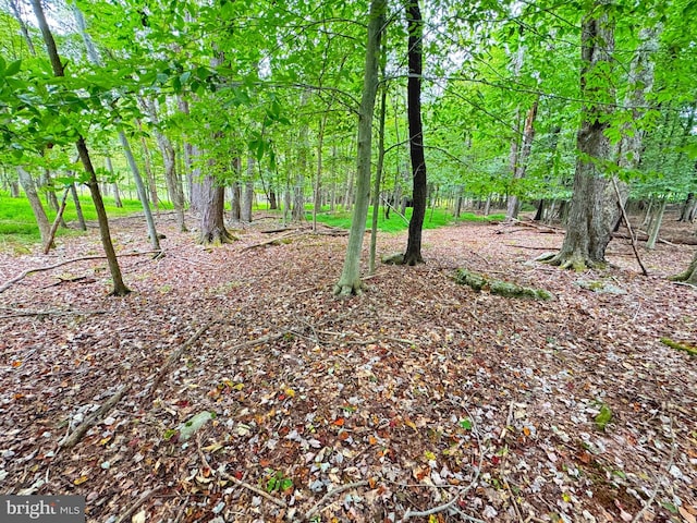 LOT734-735 White Birch Ln, Lake Ariel PA, 18436 land for sale