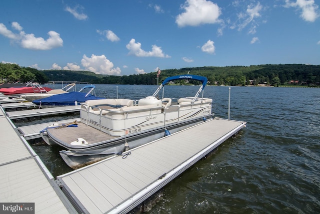 dock area with a water view