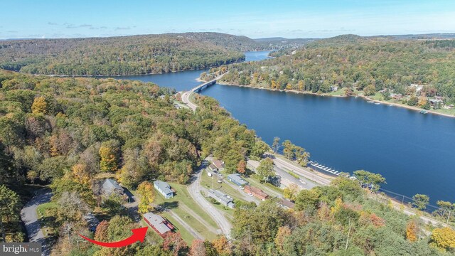 birds eye view of property featuring a water view