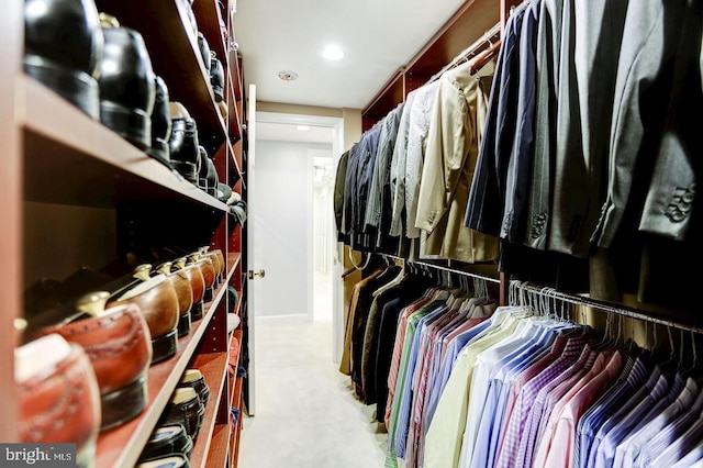 view of spacious closet