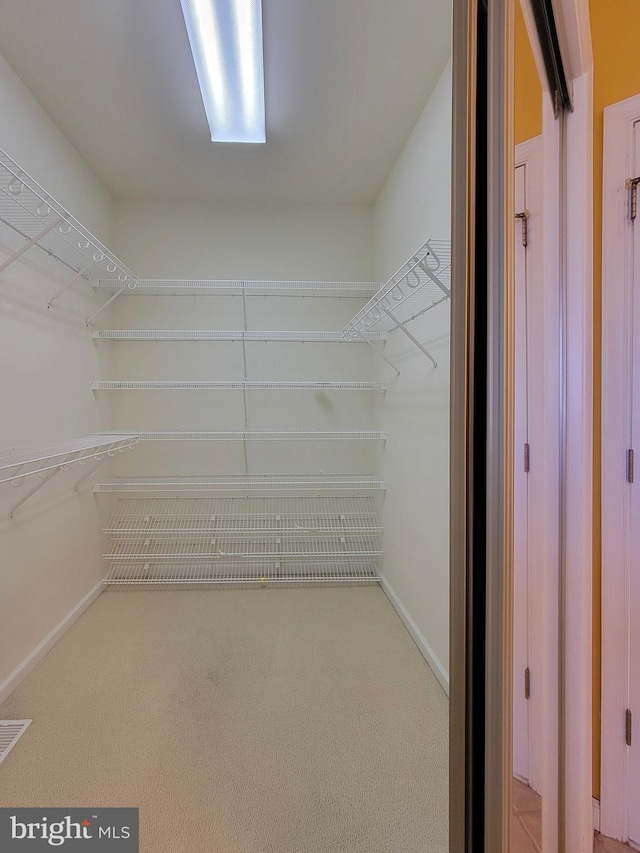 spacious closet with light carpet