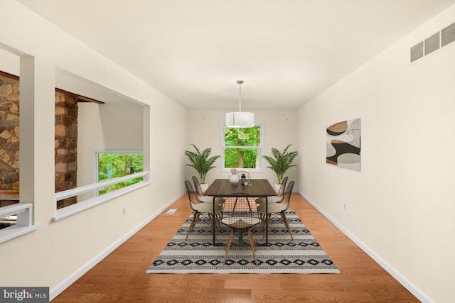 dining room featuring a wealth of natural light and hardwood / wood-style floors