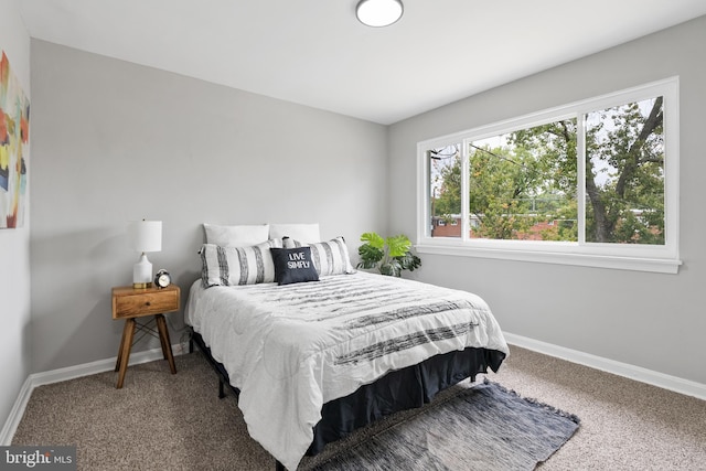 bedroom featuring carpet