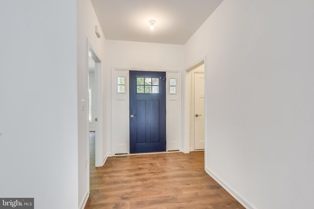 foyer entrance featuring light hardwood / wood-style flooring