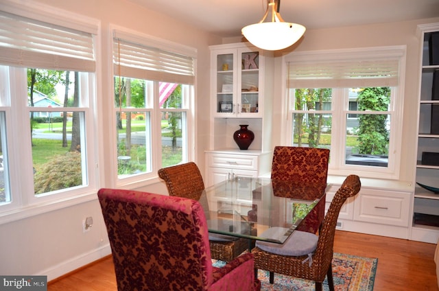 dining room featuring light hardwood / wood-style floors