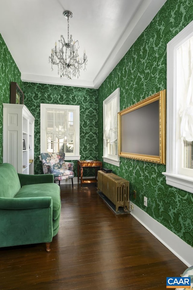 sitting room featuring dark hardwood / wood-style floors, radiator heating unit, and a wealth of natural light