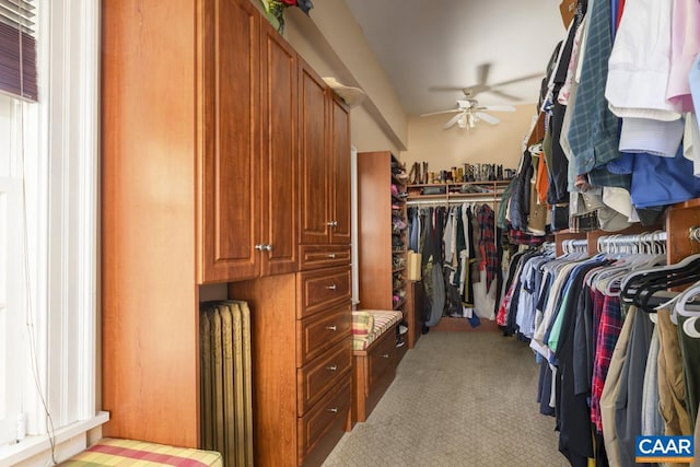 spacious closet featuring radiator heating unit, ceiling fan, and light colored carpet