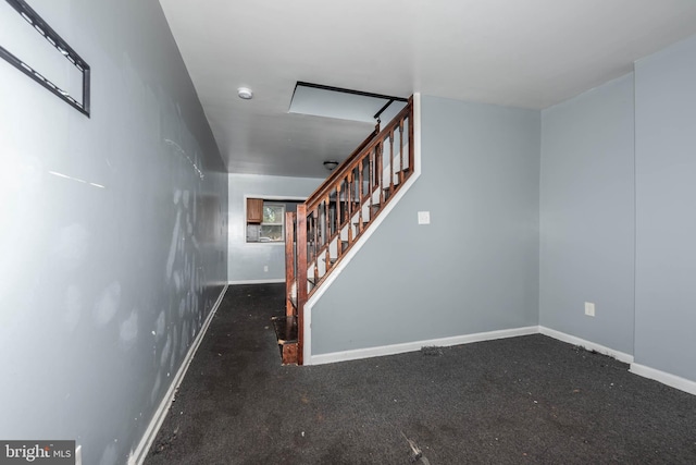 staircase featuring carpet flooring