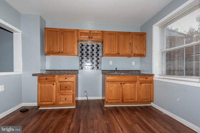 kitchen with decorative backsplash, dark hardwood / wood-style floors, and sink