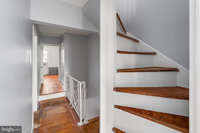 staircase featuring hardwood / wood-style floors and radiator heating unit