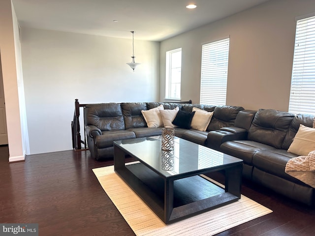 living room featuring dark wood-type flooring