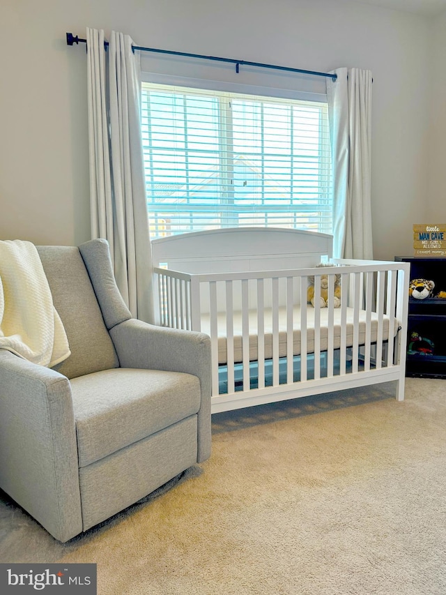 bedroom featuring carpet flooring