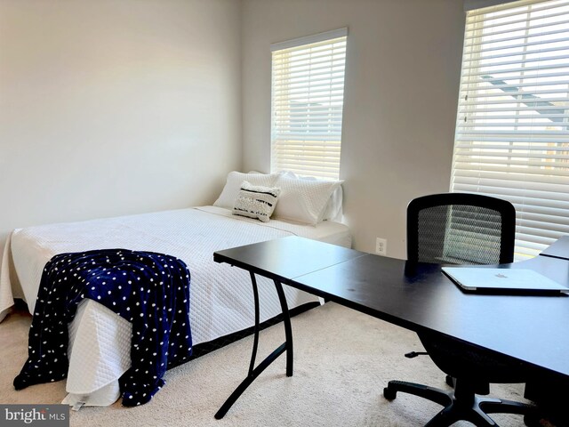 bedroom with light carpet