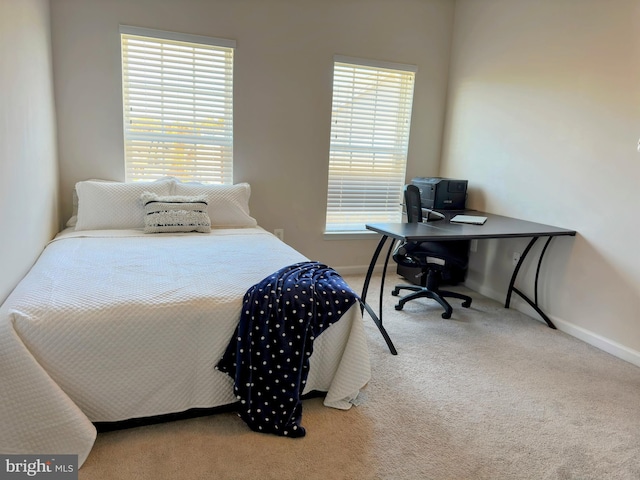 carpeted bedroom with multiple windows