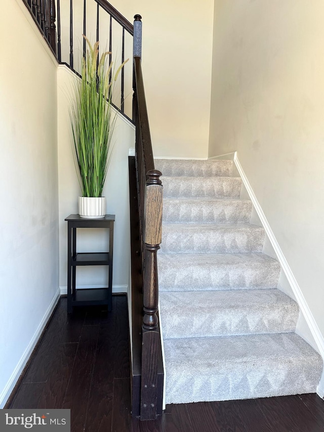 staircase with wood-type flooring