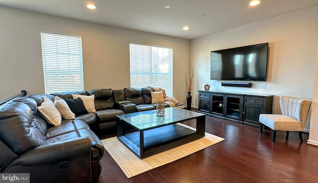 living room with dark hardwood / wood-style flooring