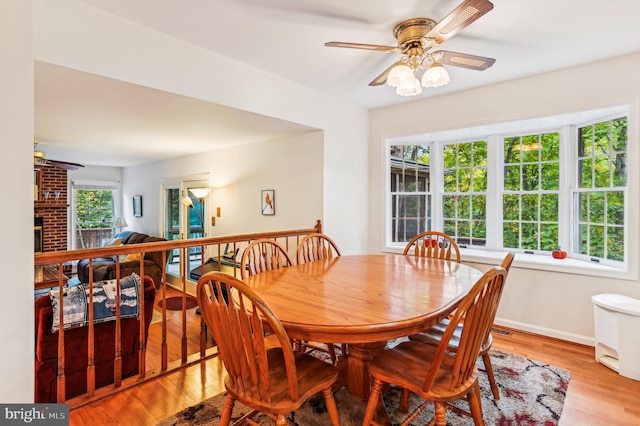 dining room featuring ceiling fan, light wood-type flooring, and a fireplace