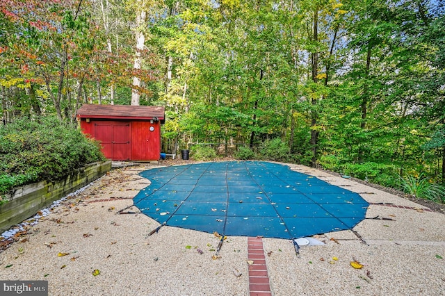 view of pool with a storage shed and a patio